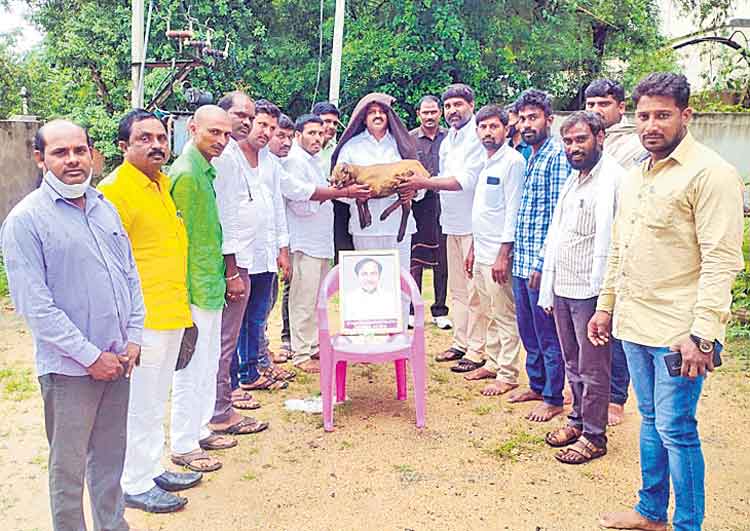 గొల్లకుర్మల సంక్షేమానికి సీఎం కృషి