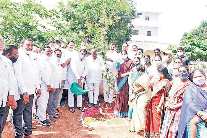 మొక్కలు నాటి సంరక్షించాలి