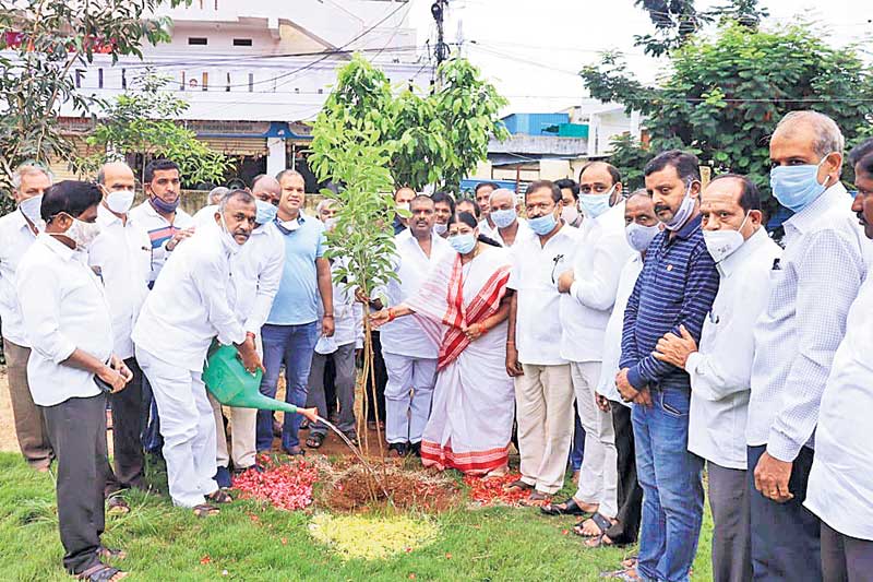 పల్లె ప్రగతి, హరితహారం దేశానికే ఆదర్శం
