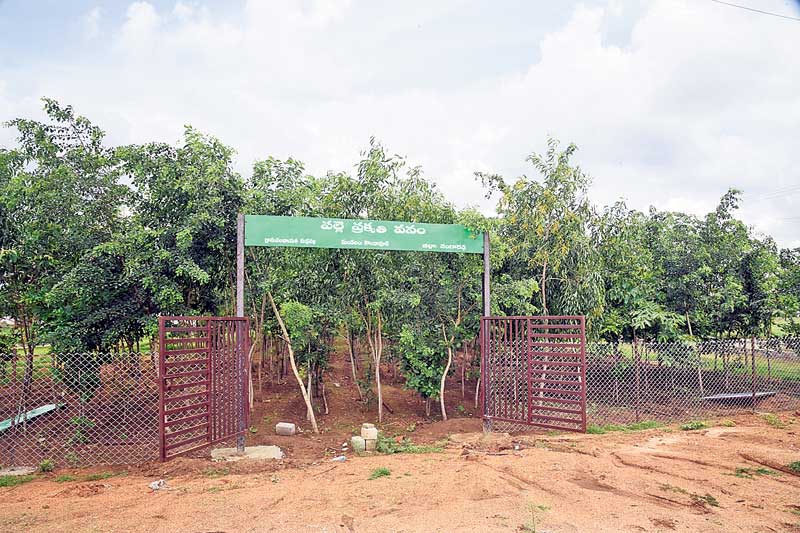 పచ్చదనం, స్వచ్ఛతలో ఆదర్శం..