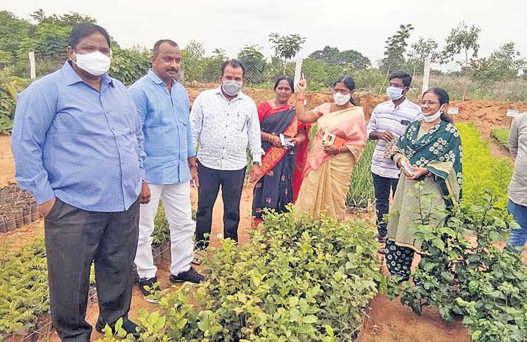ప్రారంభమైన పల్లె, పట్టణ ప్రగతి