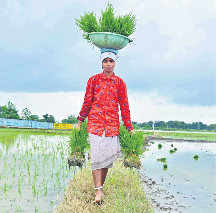 జిల్లాలో విస్తారంగా వర్షాలు..