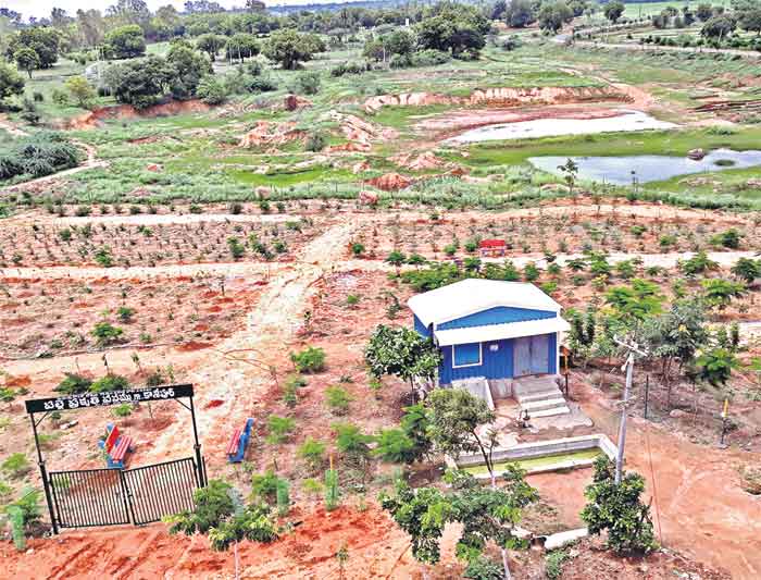 గ్రామ అభివృద్ధికి బాటలు వేసిన ‘పల్లె ప్రగతి’