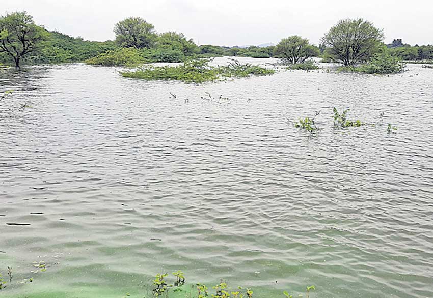 చెరువు భద్రం