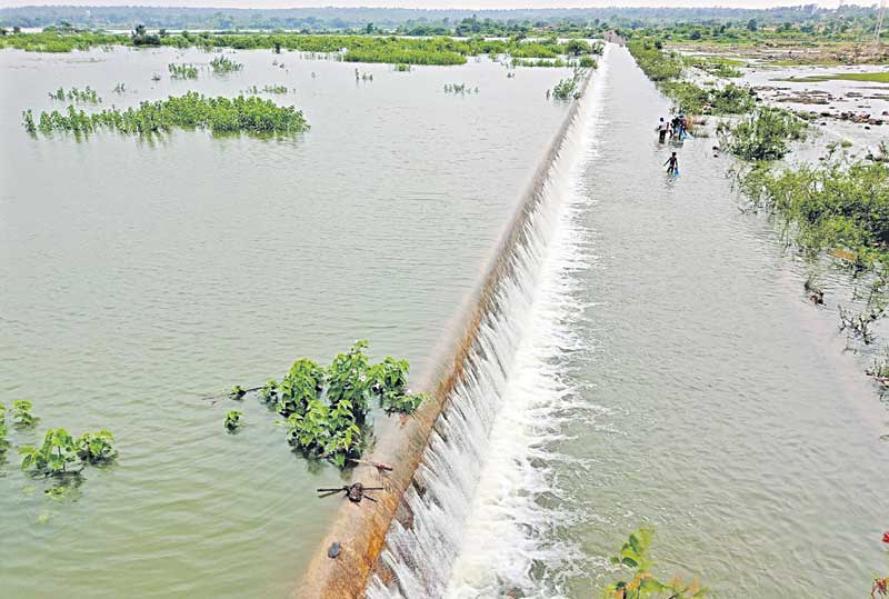 ఉమ్మడి జిల్లాలో ముసురు