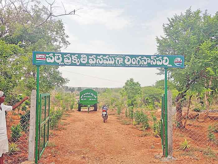 లింగాన్స్‌పల్లి రూపు మారింది