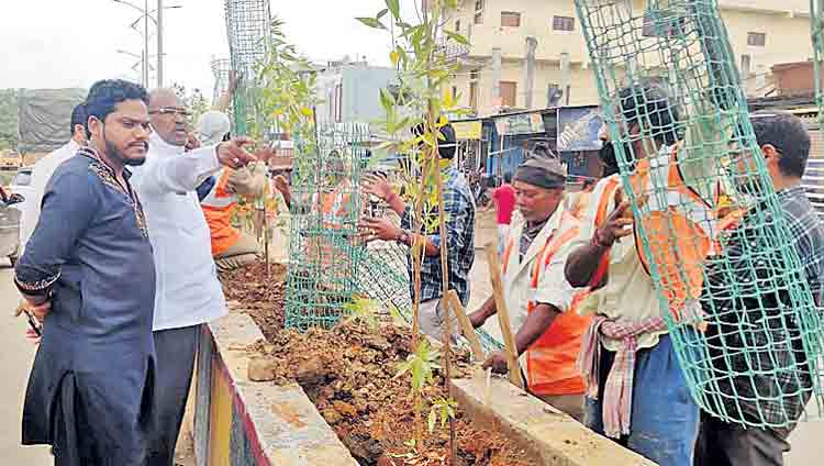 ‘ముక్కోటి వృక్షార్చన’ను విజయవంతం చేయాలి