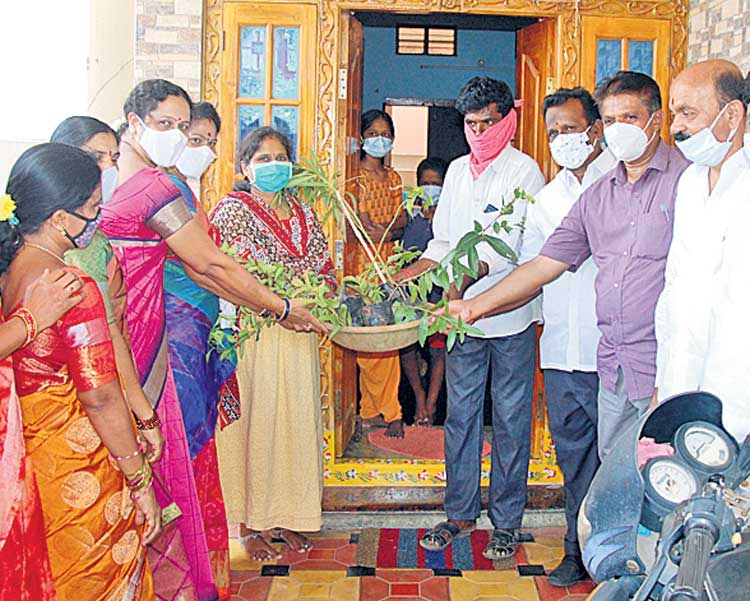 మొక్క వోని సంకల్పం