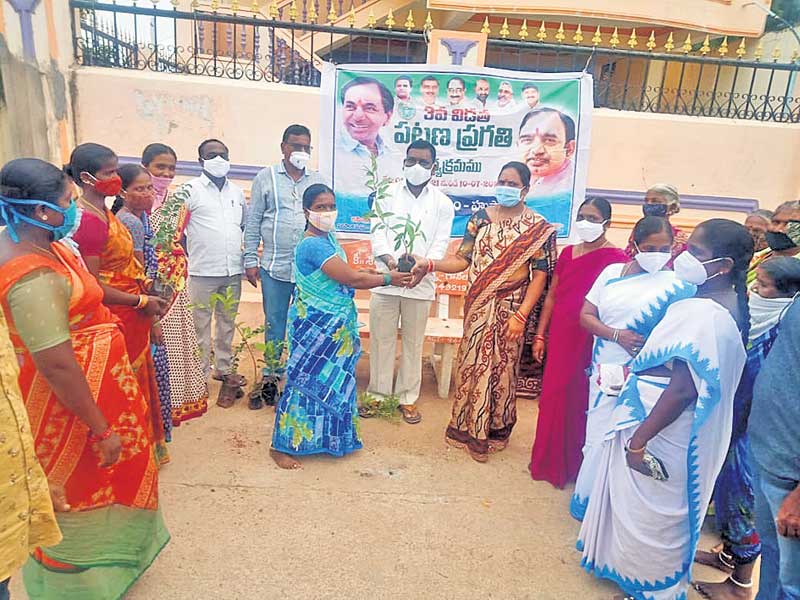 ‘పచ్చని తోరణాలు’గా మారాలి