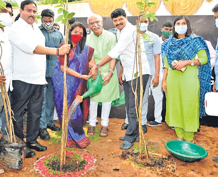 పండుగలా ముక్కోటి వృక్షార్చన