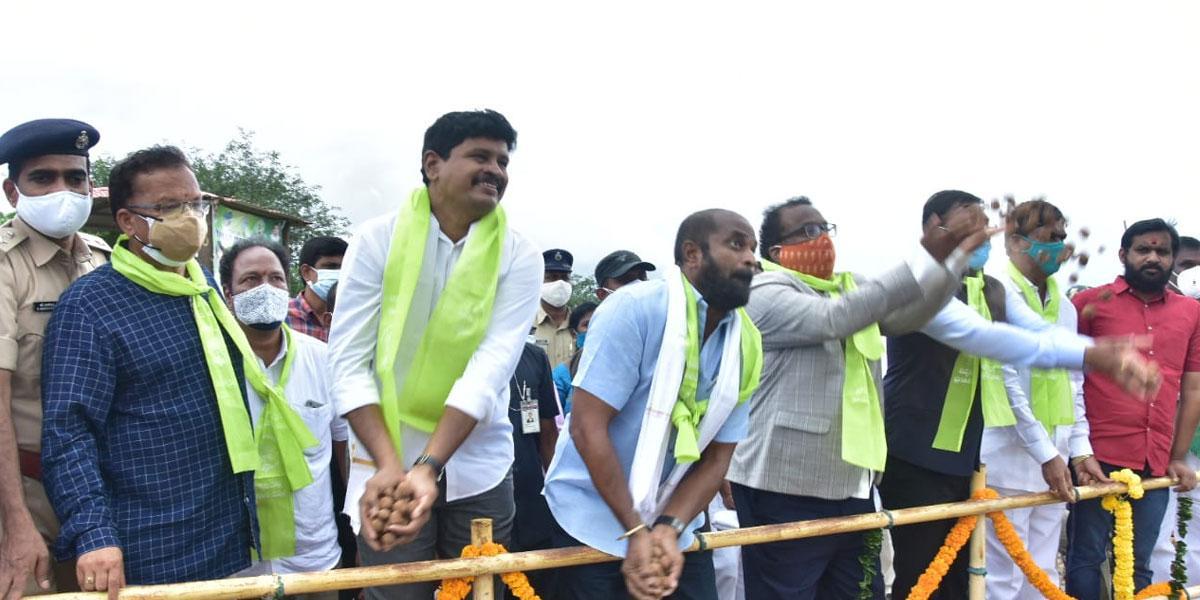 కేసీఆర్ ఎకో అర్బ‌న్ పార్కులో సీడ్స్ బాల్స్ చ‌ల్లే కార్య‌క్ర‌మం.. ప్రారంభించిన ఎంపీ సంతోష్‌, మంత్రి శ్రీనివాస్‌గౌడ్‌