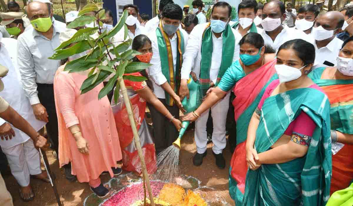 లక్ష మొక్కలు నాటే కార్యక్రమానికి ఎంపీ సంతోష్ కుమార్ అంకురార్పణ