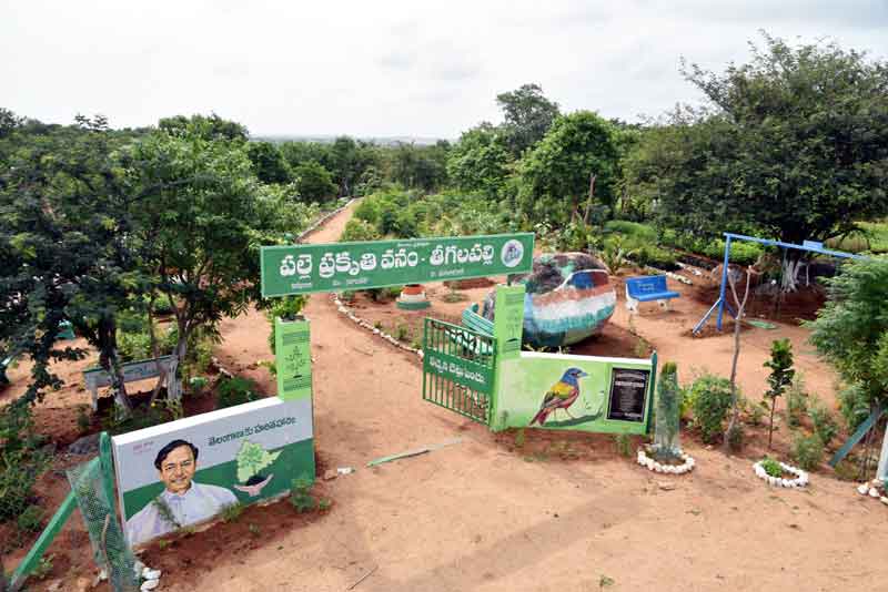 తీగలపల్లి