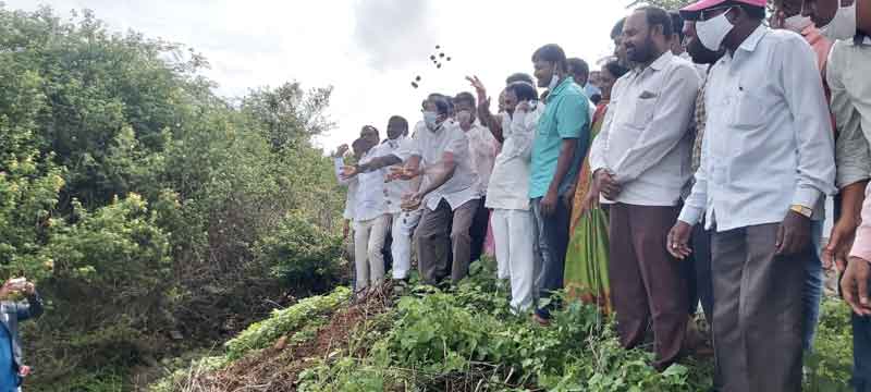 భావితరాల కోసమే హరితహారం