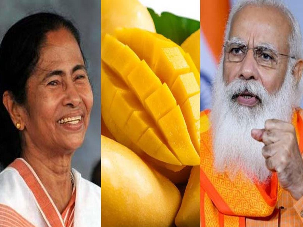 ప్రధాని మోదీకి మామిడి పండ్లు పంపిన మమత