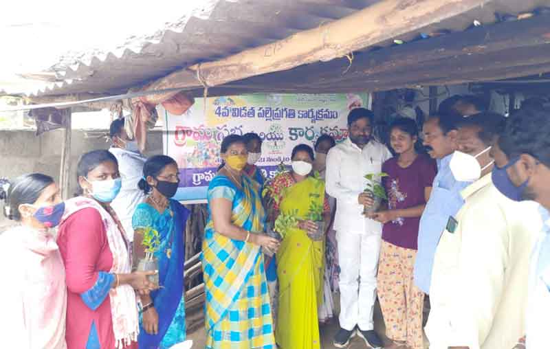 పర్యావరణ పరిరక్షణకే హరితహారం