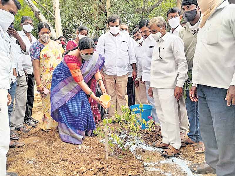 పల్లెప్రగతితో గ్రామాభివృద్ధి