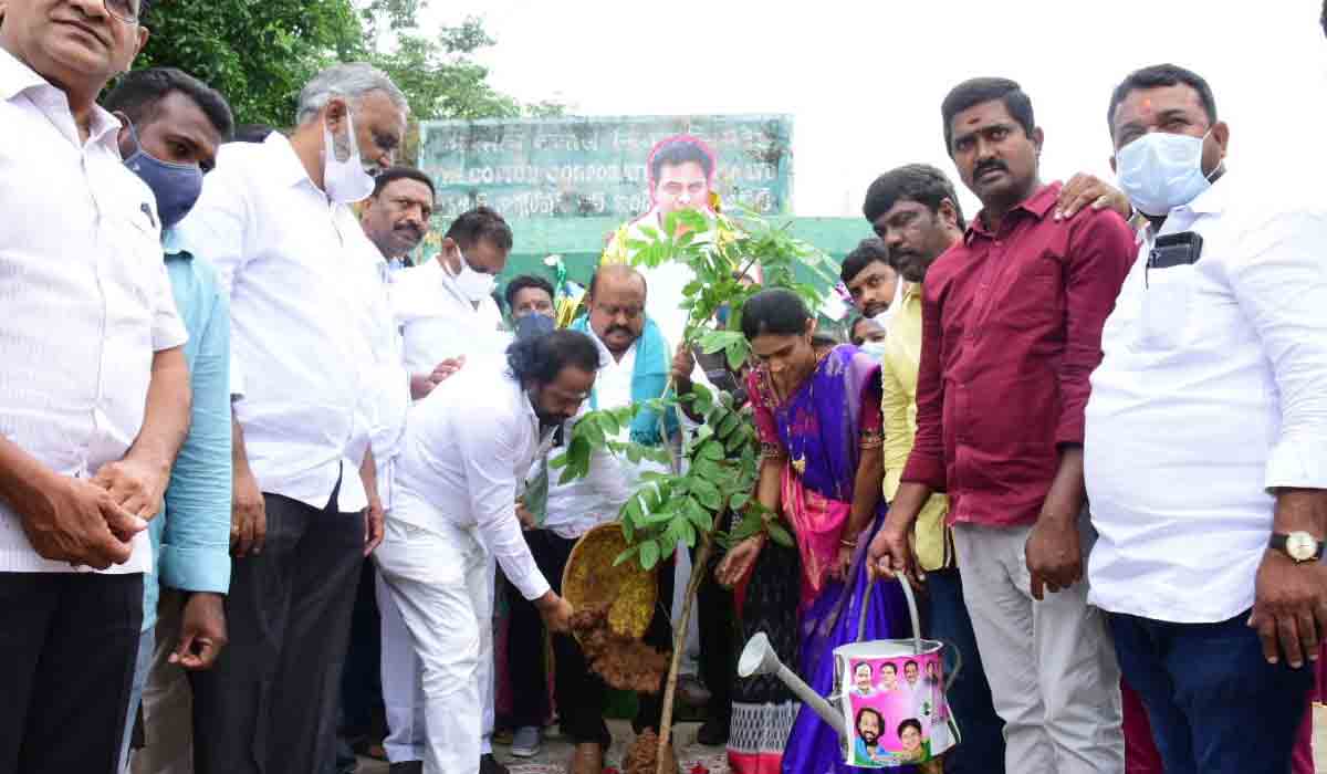 కేటీఆర్ జన్మదినం : మొక్కలు నాటిన మంత్రి గంగుల కమలాకర్