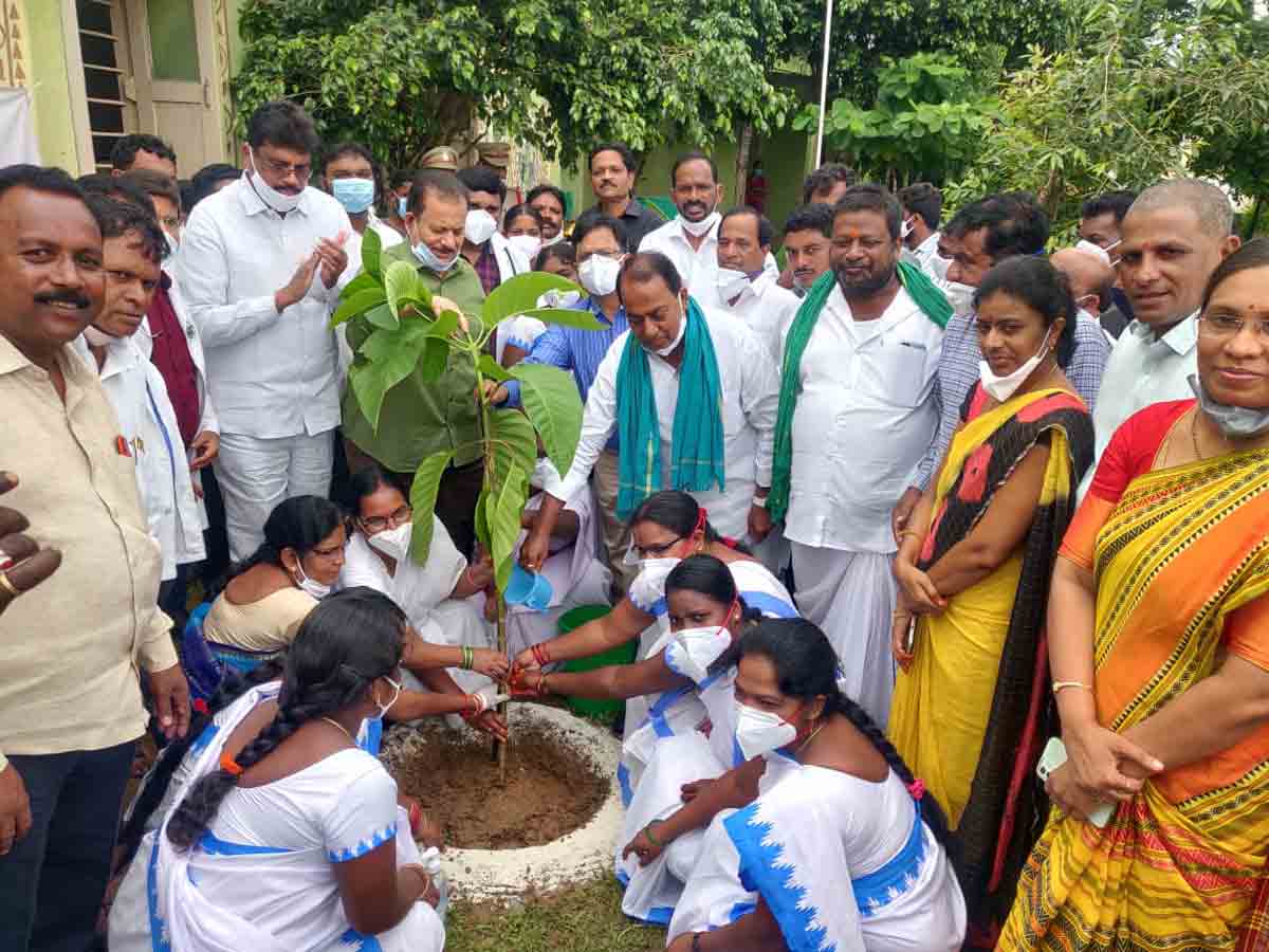 నిర్మల్‌లో ఘనంగా మంత్రి కేటీఆర్‌ జన్మదిన వేడుకలు