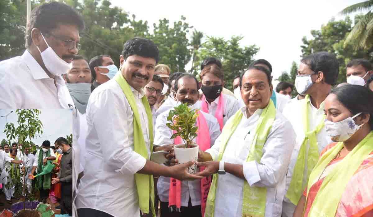 హరితహారం.. నిర్మల్‌లో మొక్కలు నాటిన ఎంపీ సంతోష్‌ కుమార్‌