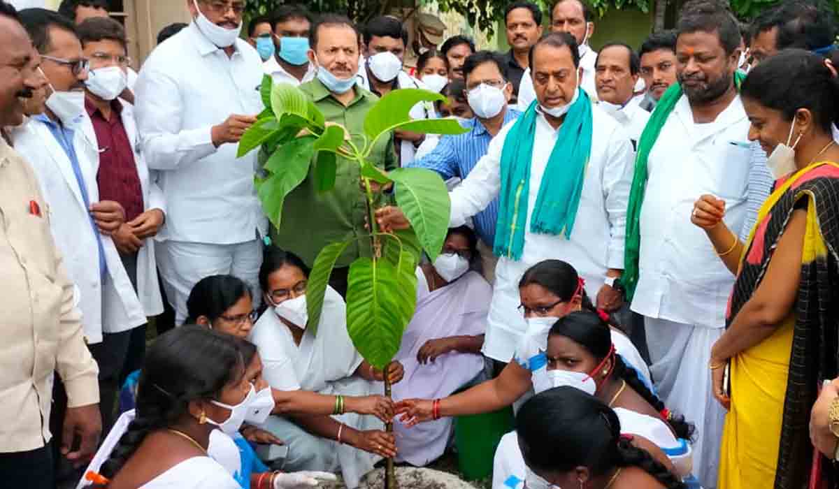 ముక్కోటి వృక్షార్చనలో మంత్రి ఇంద్రకరణ్‌ రెడ్డి