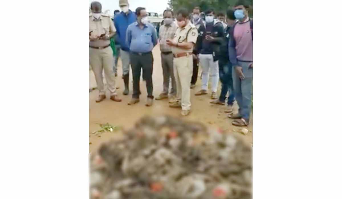 ఘోరం.. 38 కోతుల‌కు విష‌మిచ్చి చంపేశారు..