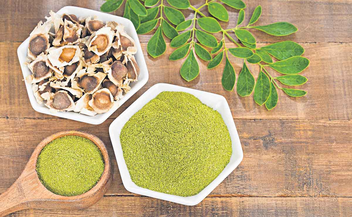 మీ ఆరోగ్యాన్ని..‘మునగ’నివ్వదు!