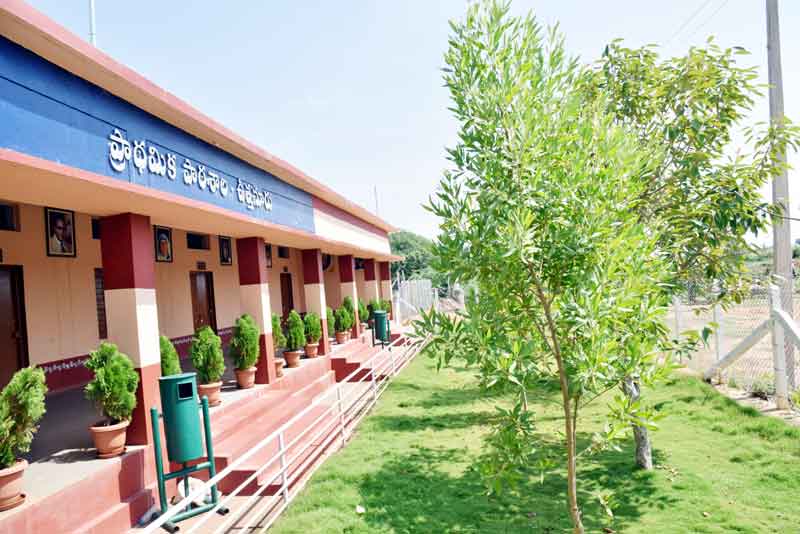 బడి బంగారంగా..!
