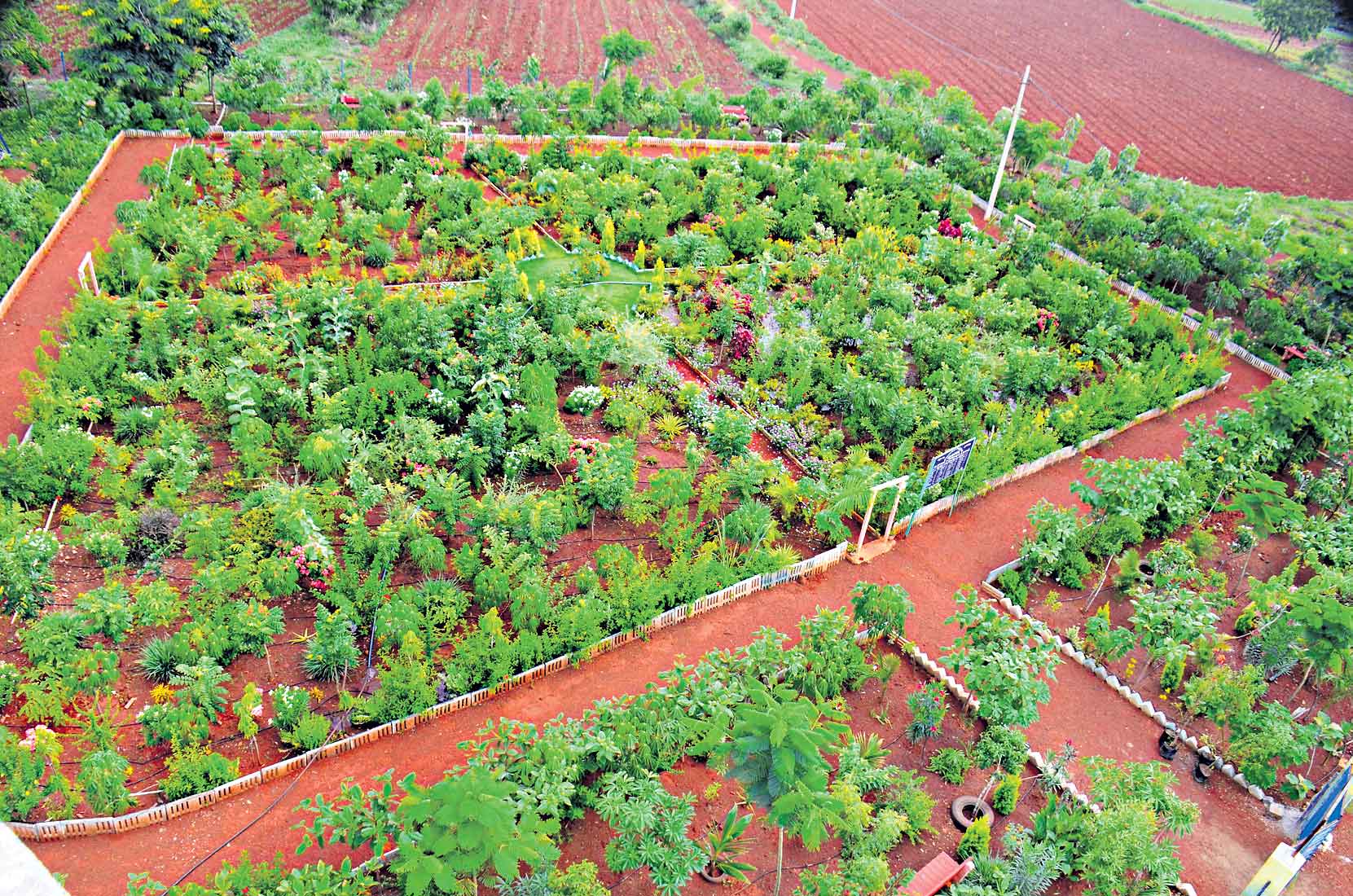 పల్లెల్‌.. మస్తు పైసల్‌!