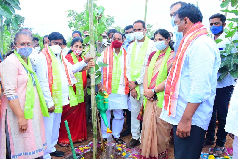 అడవులకు పూర్వవైభవం