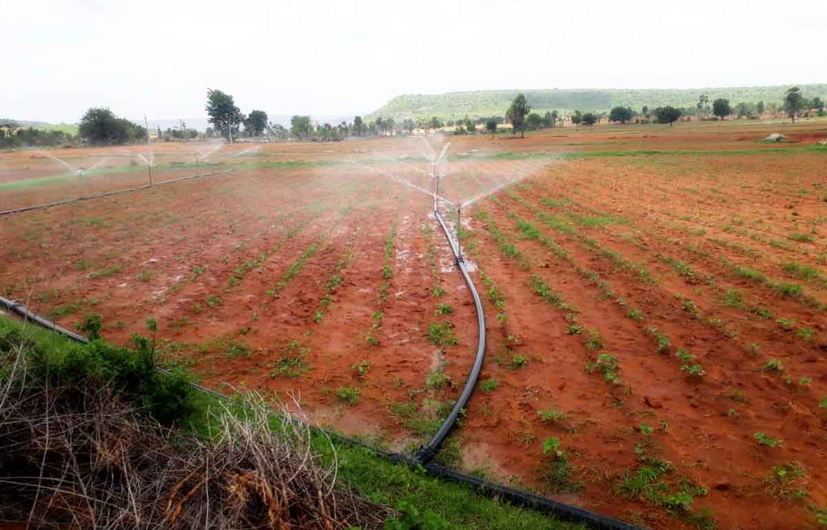 స్ప్రింక్లర్లక