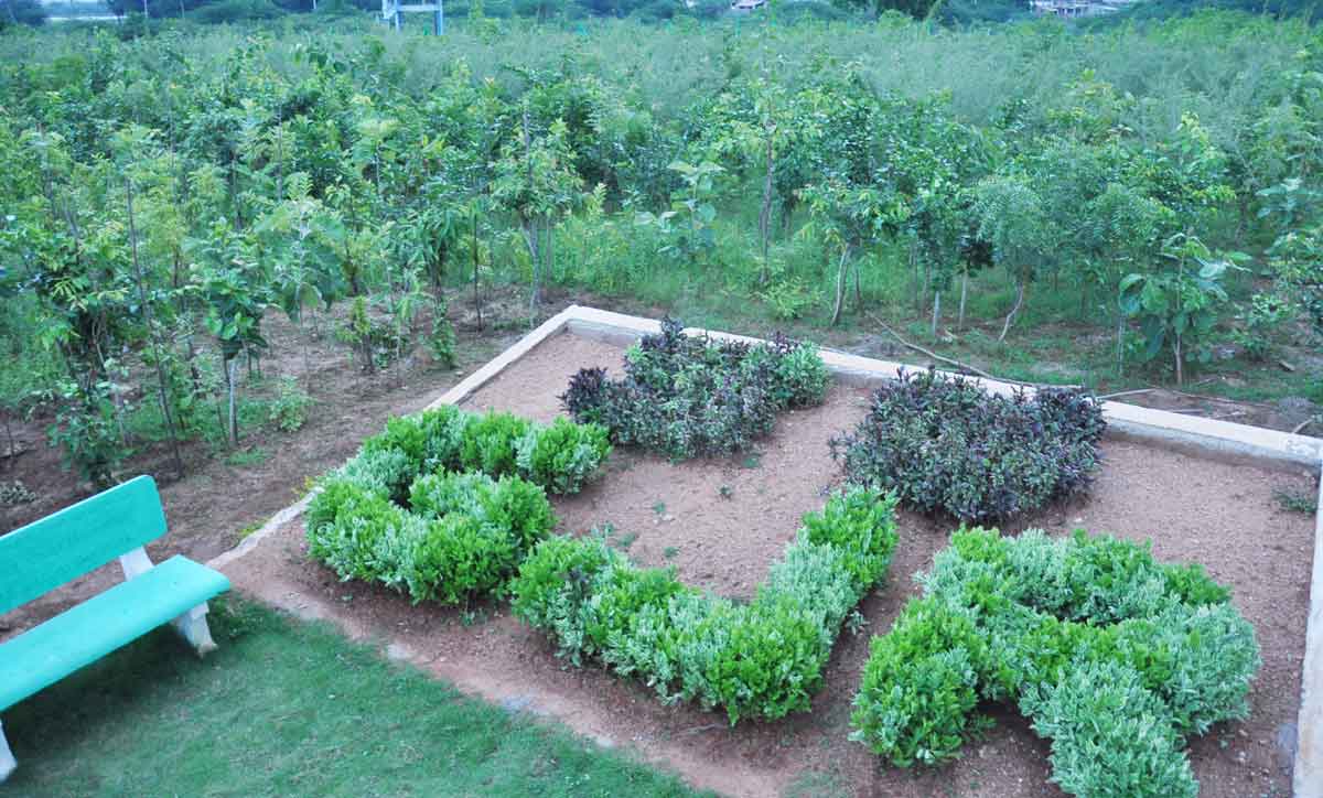 ముక్కోటి వృక్షార్చన స్ఫూర్తిగా..