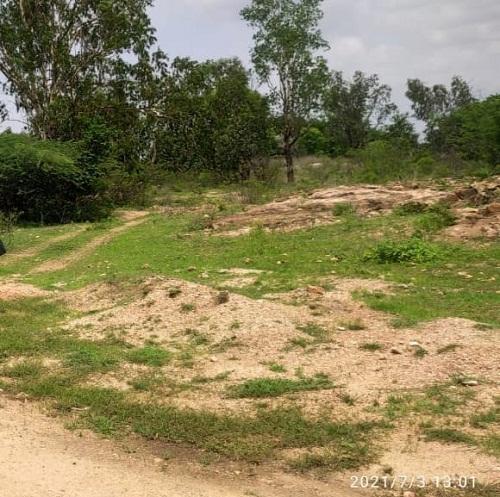 ఇక హాలియాలోనే డిగ్రీ