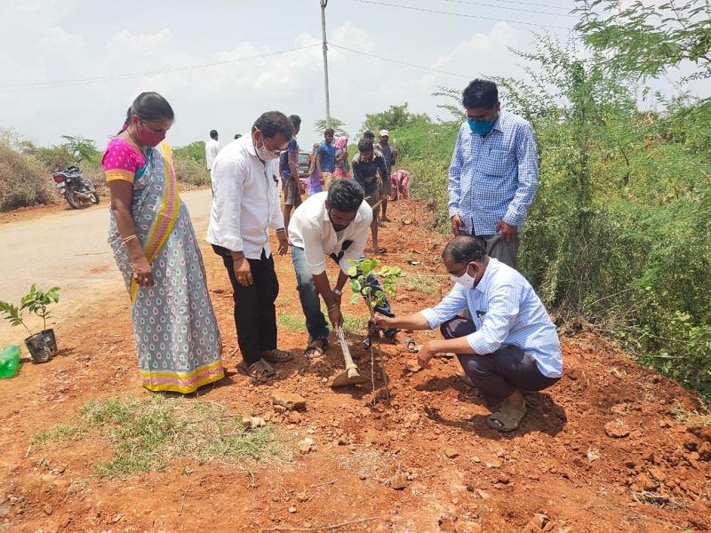 పల్లెలు, పట్టణాల రూపురేఖలు మారాలి