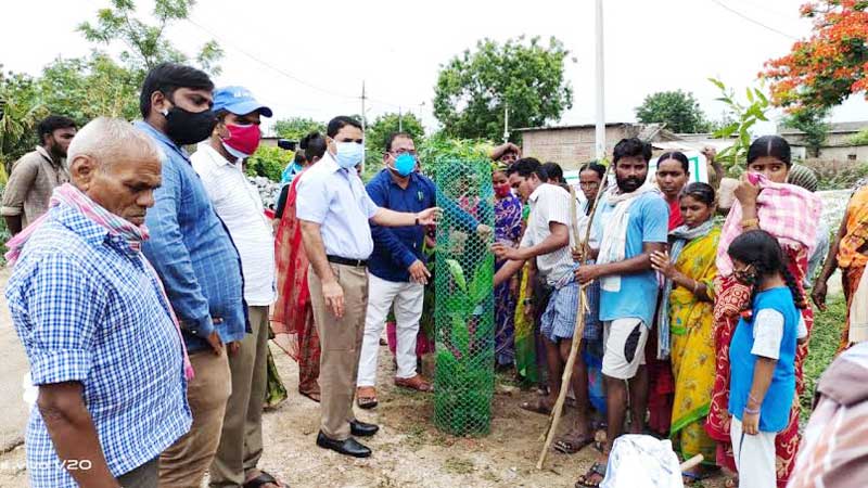పల్లెలు పరిశుభ్రం.. వార్డులకు హరితతోరణం