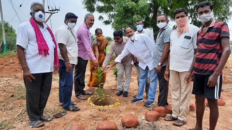 పచ్చదనం, పరిశుభ్రతే లక్ష్యంగా..