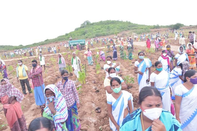 భూమి నుంచి బంగారం పండించాలె