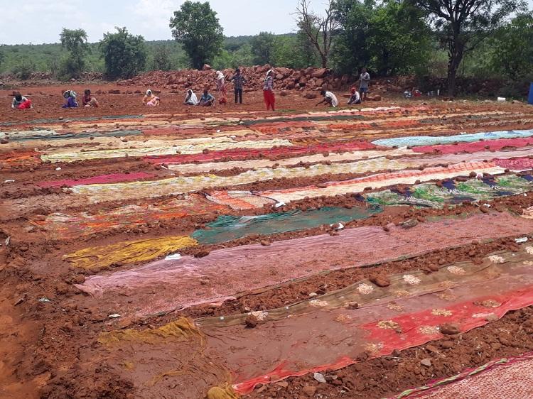 మిర్చి నారుకు కేరాఫ్‌ పొగిళ్ల