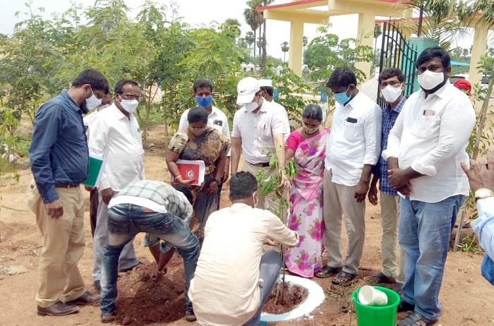 పల్లె ప్రగతిని పక్కాగా అమలు చేయాలి