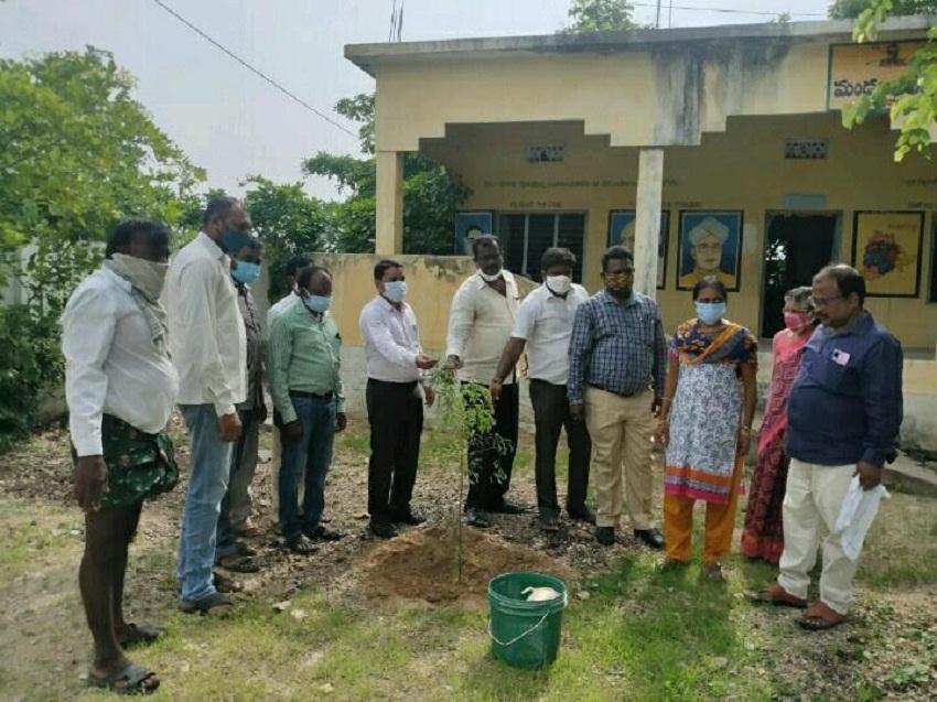 ఇంటింటికీ మొక్కల పంపిణీ