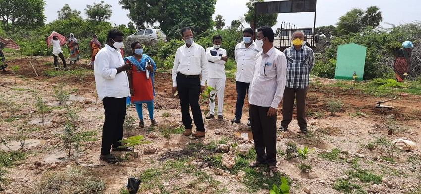 పల్లె ప్రగతితో గ్రామాలు కళకళ