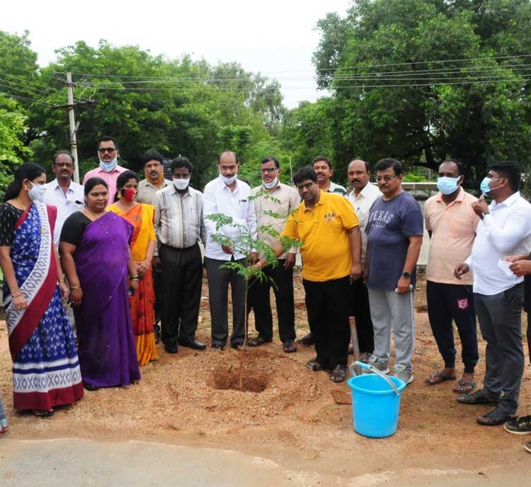 మొక్కల పెంపకంతోనే పర్యావరణ సమతుల్యత