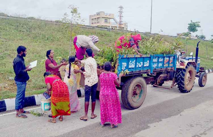 బృహత్‌ పల్లె ప్రకృతి వనం పనుల్లో వేగం పెంచాలి