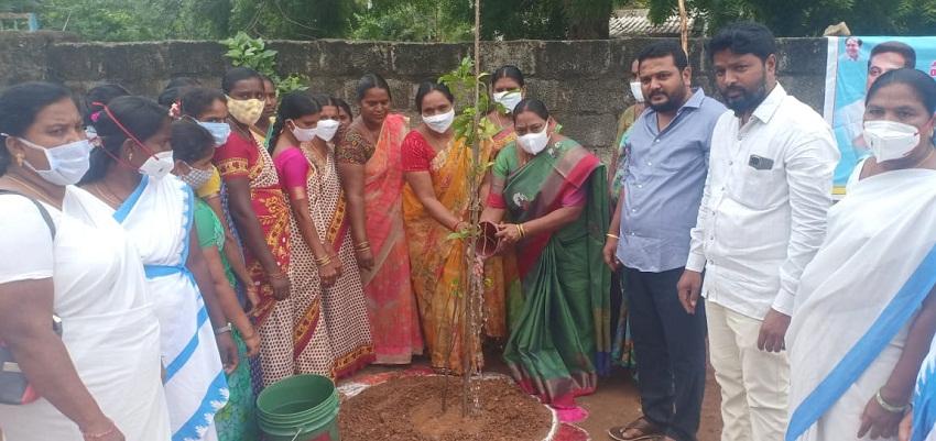 ప్రతి ఒక్కరూ మొక్కలు నాటి సంరక్షించాలి