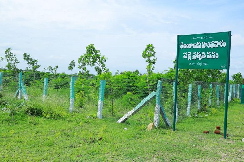 మునుగోడు మెరిసేలా..