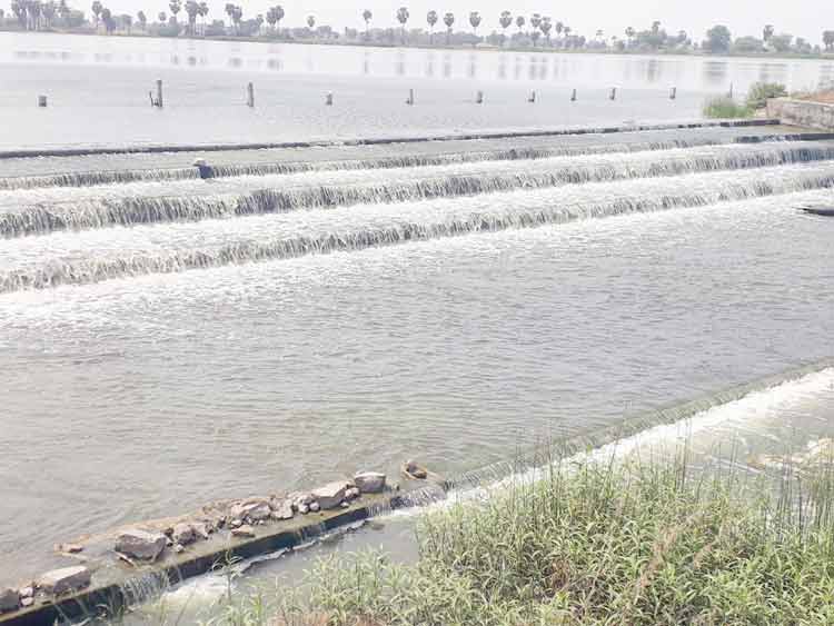 ఏడాదంతా జల సవ్వడి