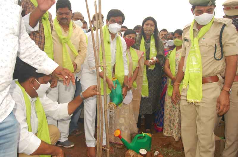 తారక రాముడికి.. హరిత తిలకం