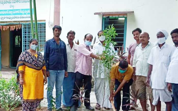 ఉత్సాహంగా హరితహారం