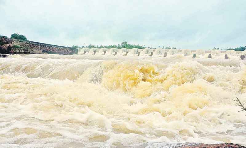 పోచారం పొంగె..రైతన్న మురిసె!