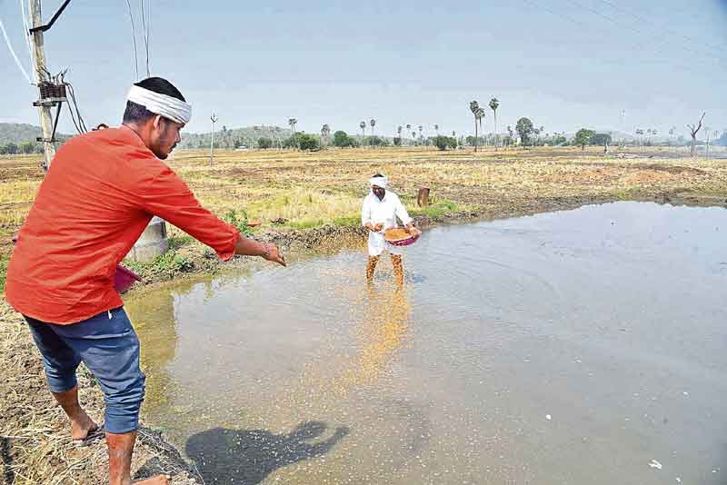 లాభాలు ‘వెద’జల్లు..